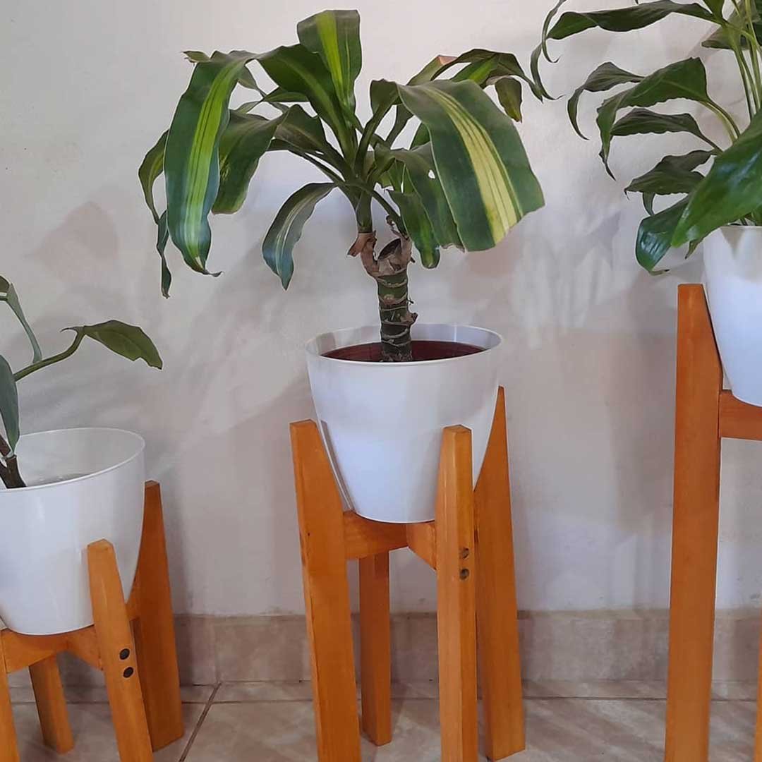 plantas y porta macetas nórdicos